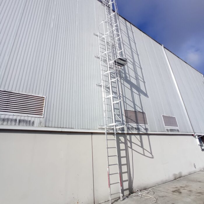 ESCALERA VERTICAL CON PROTECCION DORSAL